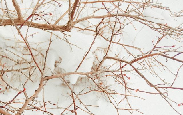 Using Keras for Deep Learning with R