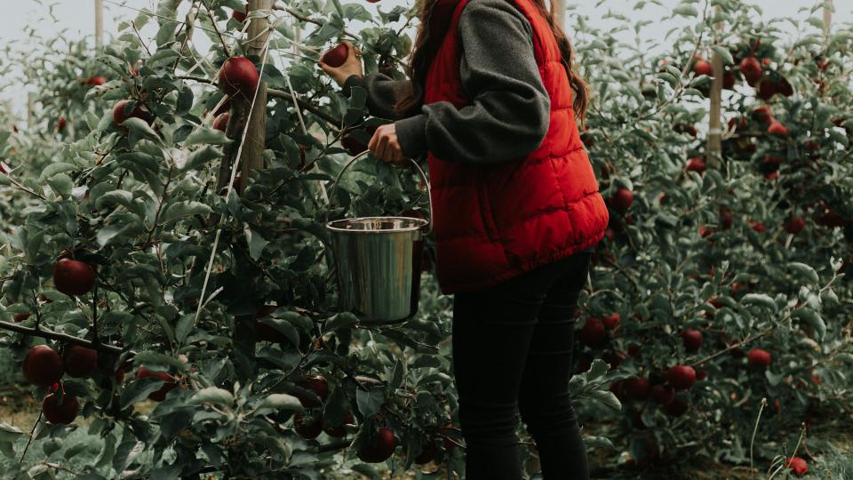 dplyr 1.1.0: `pick()`, `reframe()`, and `arrange()`